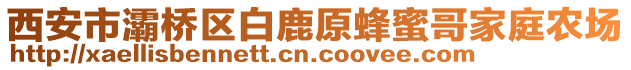 西安市灞橋區(qū)白鹿原蜂蜜哥家庭農(nóng)場