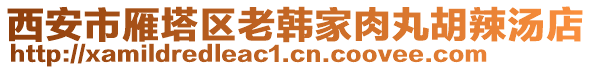 西安市雁塔區老韓家肉丸胡辣湯店