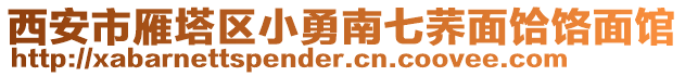 西安市雁塔區(qū)小勇南七蕎面饸饹面館