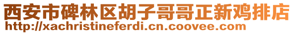 西安市碑林區(qū)胡子哥哥正新雞排店