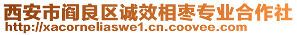 西安市阎良区诚效相枣专业合作社