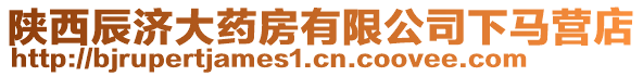 陜西辰濟(jì)大藥房有限公司下馬營(yíng)店