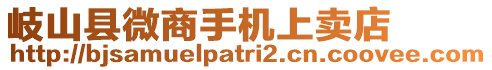 岐山縣微商手機(jī)上賣店