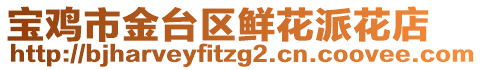 寶雞市金臺區(qū)鮮花派花店