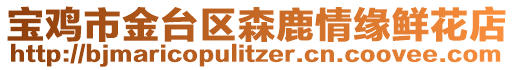 寶雞市金臺區(qū)森鹿情緣鮮花店