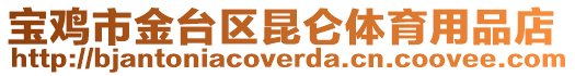 寶雞市金臺區(qū)昆侖體育用品店
