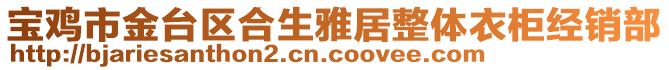 寶雞市金臺區(qū)合生雅居整體衣柜經(jīng)銷部