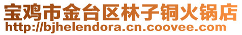 寶雞市金臺區(qū)林子銅火鍋店