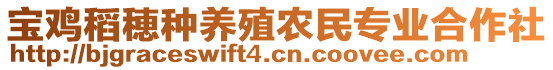 寶雞稻穂種養(yǎng)殖農(nóng)民專業(yè)合作社