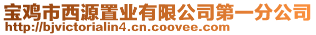 寶雞市西源置業(yè)有限公司第一分公司