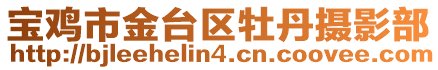 寶雞市金臺區牡丹攝影部