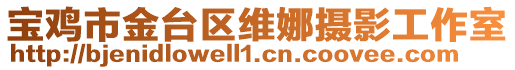 寶雞市金臺區(qū)維娜攝影工作室