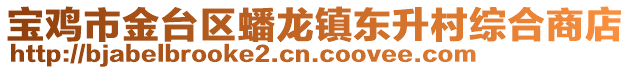 寶雞市金臺區蟠龍鎮東升村綜合商店