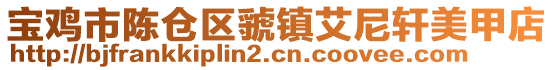 寶雞市陳倉區虢鎮艾尼軒美甲店