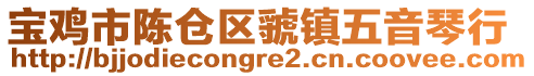 寶雞市陳倉(cāng)區(qū)虢鎮(zhèn)五音琴行