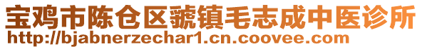 寶雞市陳倉區虢鎮毛志成中醫診所