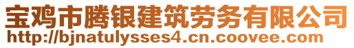 寶雞市騰銀建筑勞務有限公司