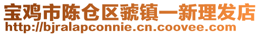 寶雞市陳倉區虢鎮一新理發店