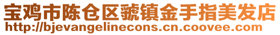 寶雞市陳倉區(qū)虢鎮(zhèn)金手指美發(fā)店