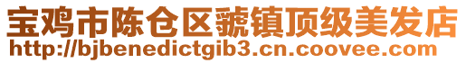 寶雞市陳倉區虢鎮頂級美發店