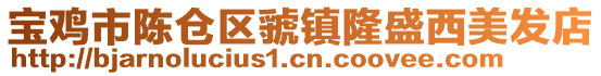 寶雞市陳倉(cāng)區(qū)虢鎮(zhèn)隆盛西美發(fā)店