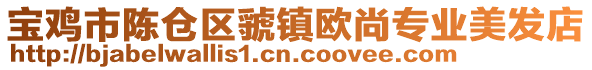 寶雞市陳倉區虢鎮歐尚專業美發店