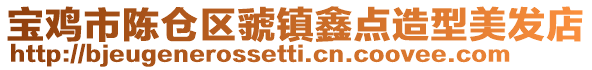 寶雞市陳倉區虢鎮鑫點造型美發店
