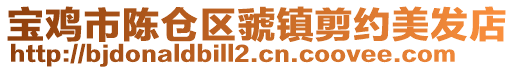 寶雞市陳倉(cāng)區(qū)虢鎮(zhèn)剪約美發(fā)店