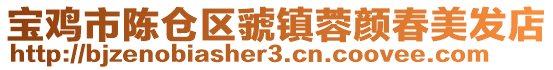 寶雞市陳倉區虢鎮蓉顏春美發店