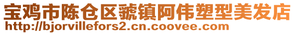 寶雞市陳倉區虢鎮阿偉塑型美發店