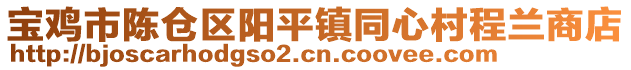 宝鸡市陈仓区阳平镇同心村程兰商店