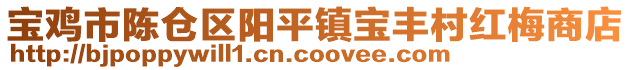 宝鸡市陈仓区阳平镇宝丰村红梅商店