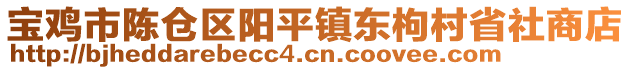 寶雞市陳倉區(qū)陽平鎮(zhèn)東枸村省社商店