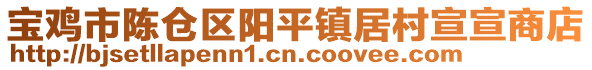 寶雞市陳倉區(qū)陽平鎮(zhèn)居村宣宣商店