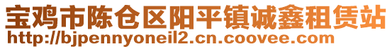 寶雞市陳倉區(qū)陽平鎮(zhèn)誠鑫租賃站