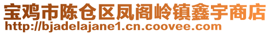 寶雞市陳倉區(qū)鳳閣嶺鎮(zhèn)鑫宇商店