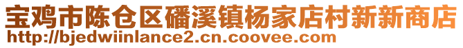 寶雞市陳倉區(qū)磻溪鎮(zhèn)楊家店村新新商店