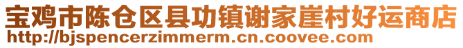 寶雞市陳倉(cāng)區(qū)縣功鎮(zhèn)謝家崖村好運(yùn)商店