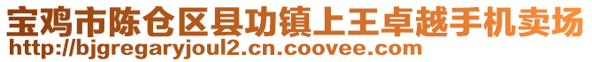 寶雞市陳倉區(qū)縣功鎮(zhèn)上王卓越手機賣場