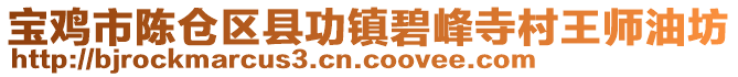 寶雞市陳倉(cāng)區(qū)縣功鎮(zhèn)碧峰寺村王師油坊