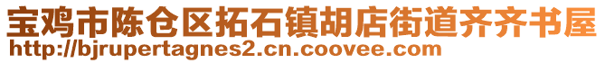 寶雞市陳倉(cāng)區(qū)拓石鎮(zhèn)胡店街道齊齊書屋