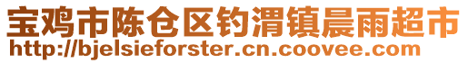 寶雞市陳倉(cāng)區(qū)釣渭鎮(zhèn)晨雨超市