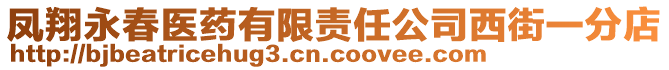 鳳翔永春醫(yī)藥有限責(zé)任公司西街一分店