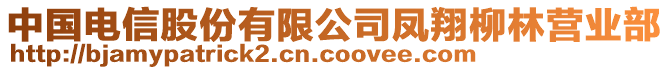 中國電信股份有限公司鳳翔柳林營業(yè)部