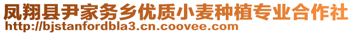 鳳翔縣尹家務(wù)鄉(xiāng)優(yōu)質(zhì)小麥種植專業(yè)合作社