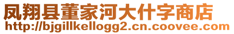 鳳翔縣董家河大什字商店