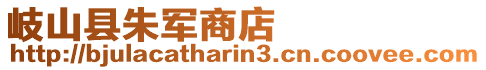 岐山縣朱軍商店