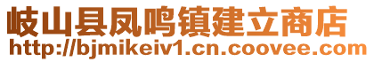 岐山縣鳳鳴鎮(zhèn)建立商店