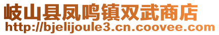 岐山縣鳳鳴鎮(zhèn)雙武商店