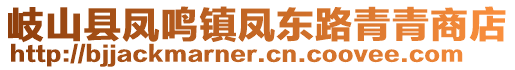 岐山縣鳳鳴鎮(zhèn)鳳東路青青商店